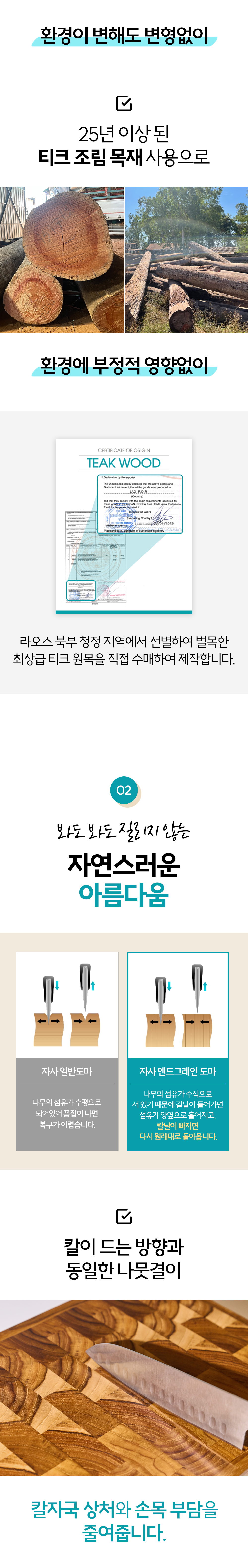 나무이상1_09.jpg