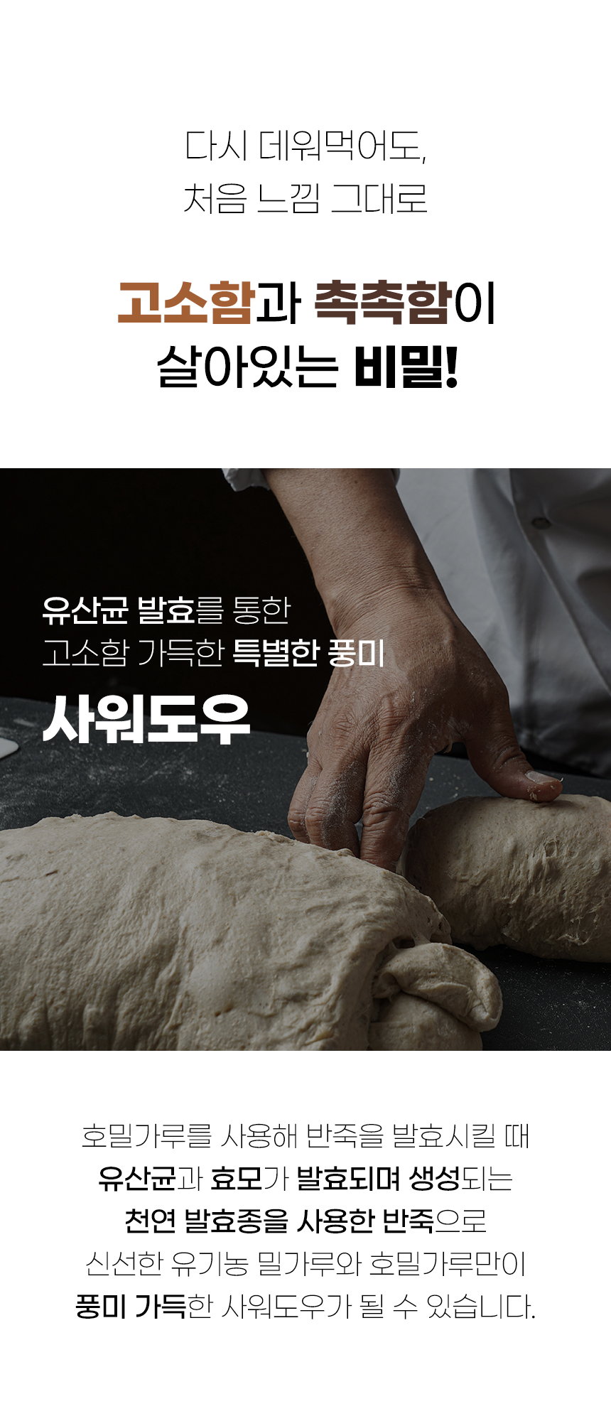 깜빠뉴-03_06.jpg