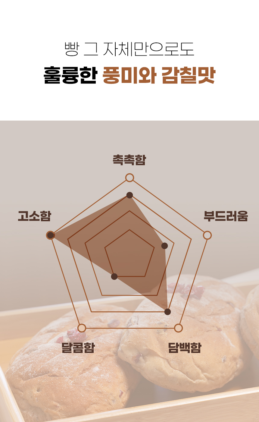 깜빠뉴-02_01.jpg
