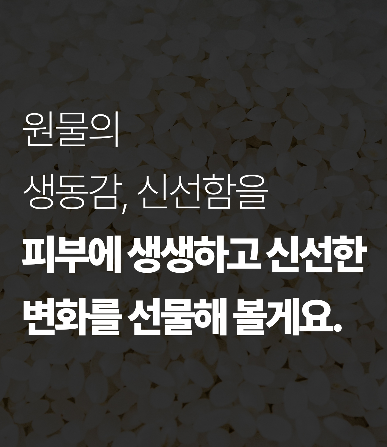 제이메르_라이스클렌징_13-1.jpg