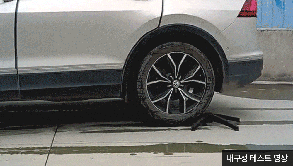 CITUS_02_07_G.gif