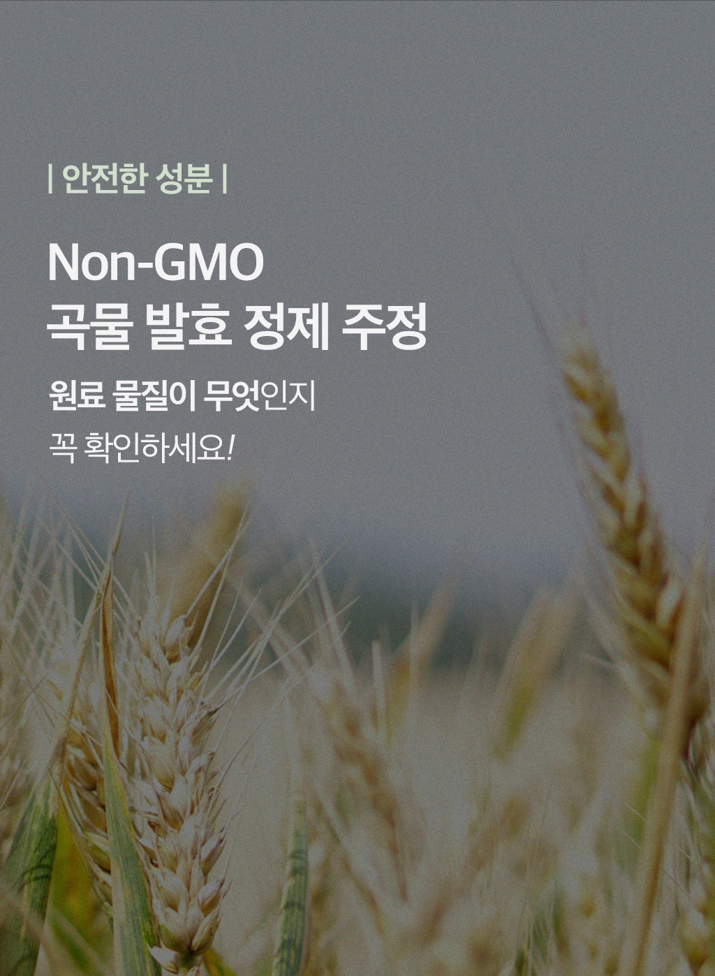 4_원료_04.jpg
