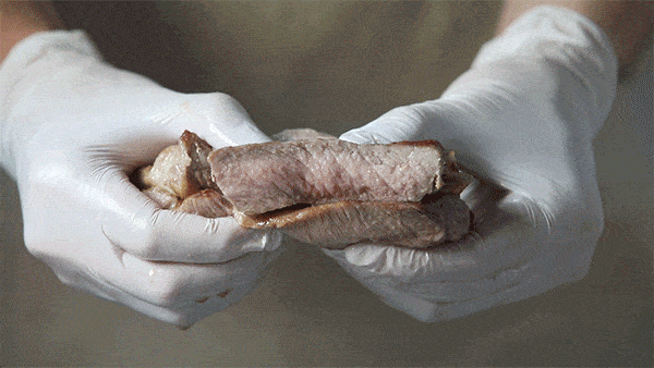 332A3696-min (1).gif