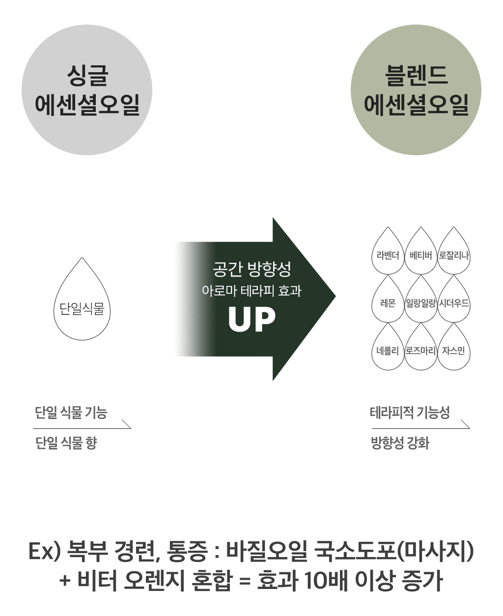 4_원료_14.jpg