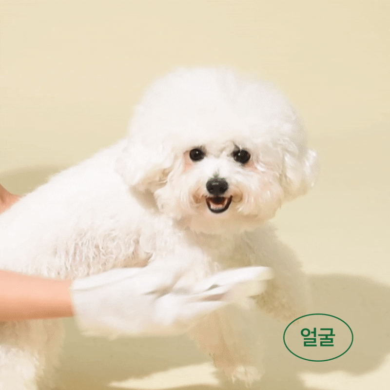 KakaoTalk_20231110_085157714.gif
