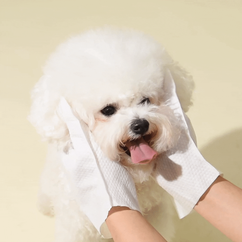 KakaoTalk_20231110_084847884.gif
