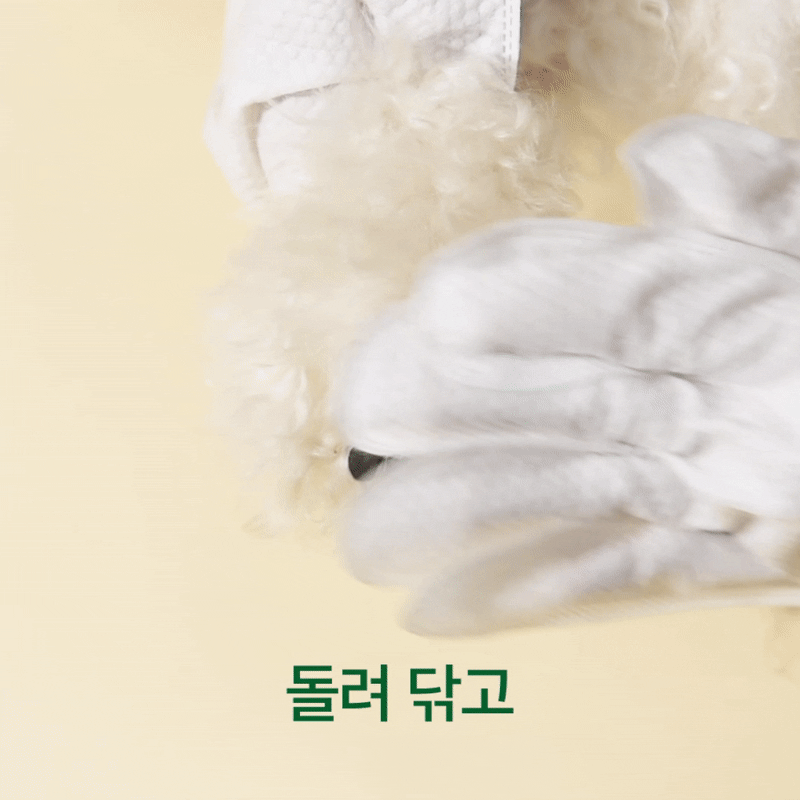 KakaoTalk_20231110_084754884.gif