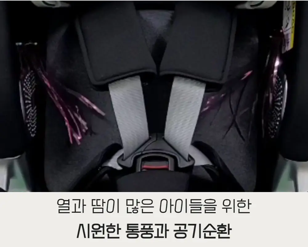 24.webp