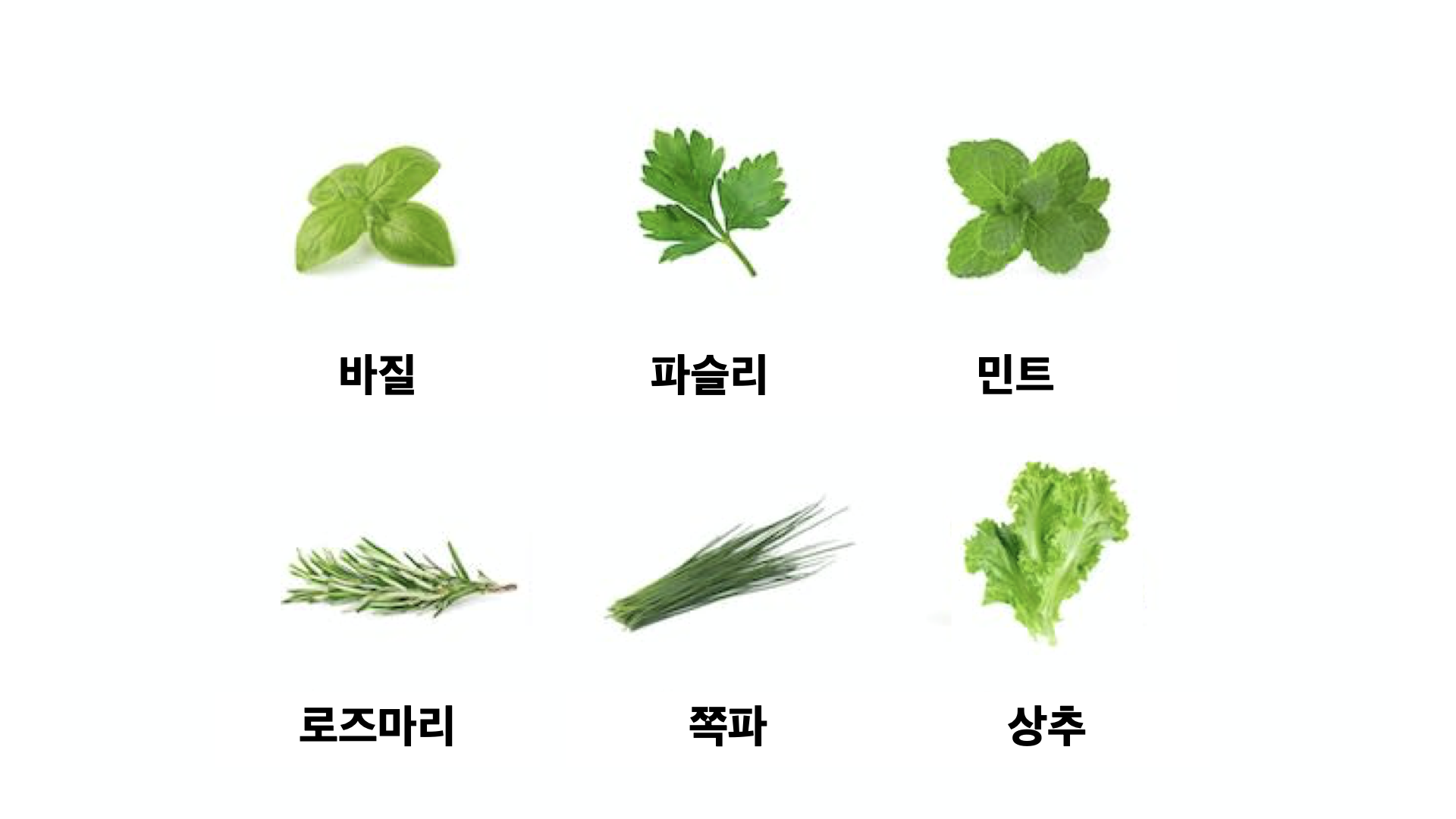 해리허브 ppt.003.png