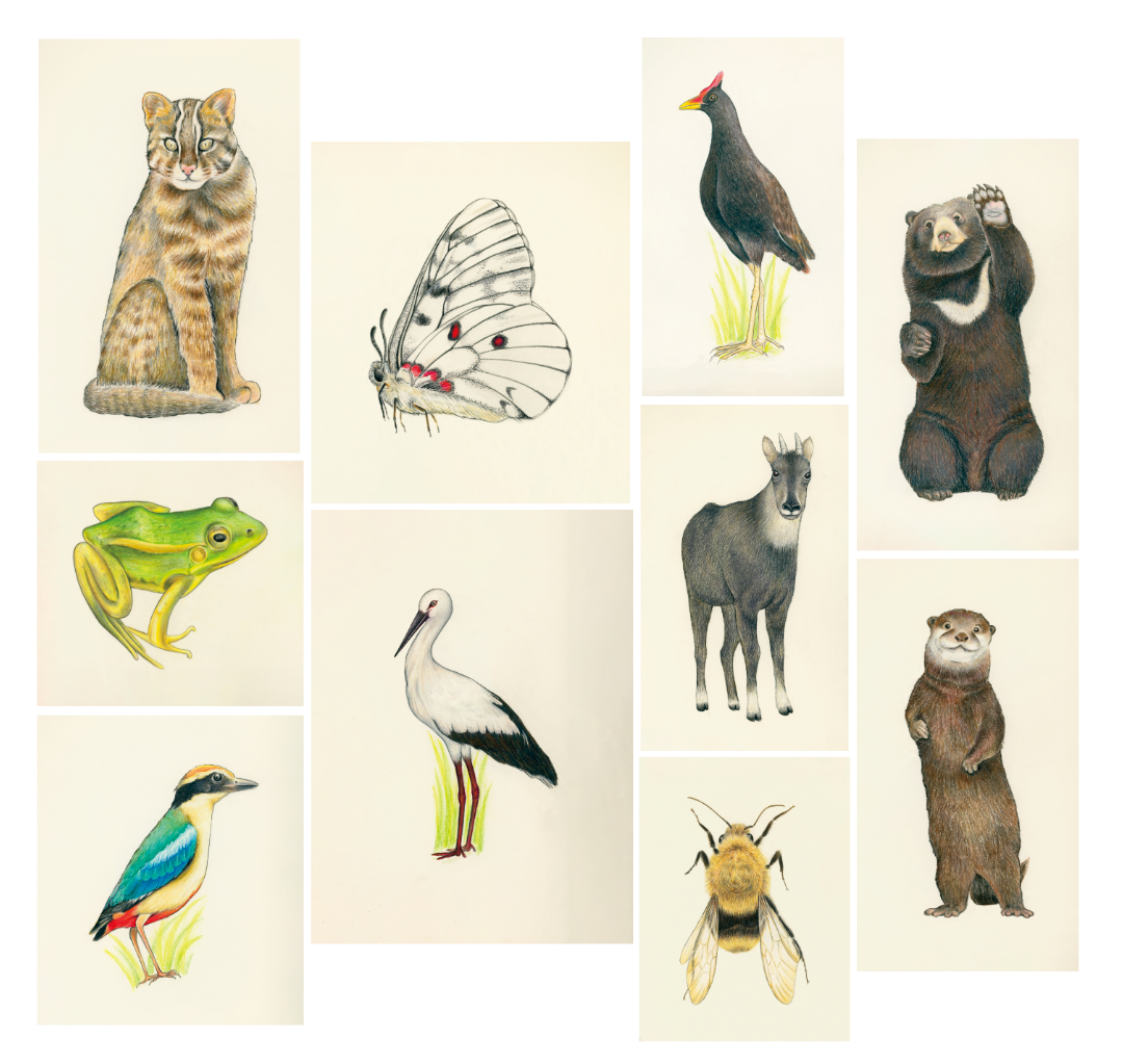 본문1 11.png