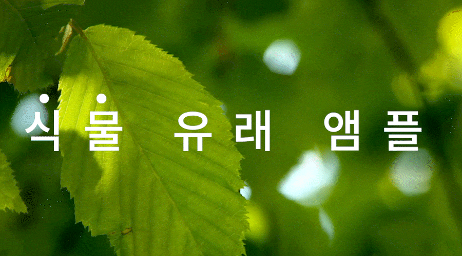 3_05.gif