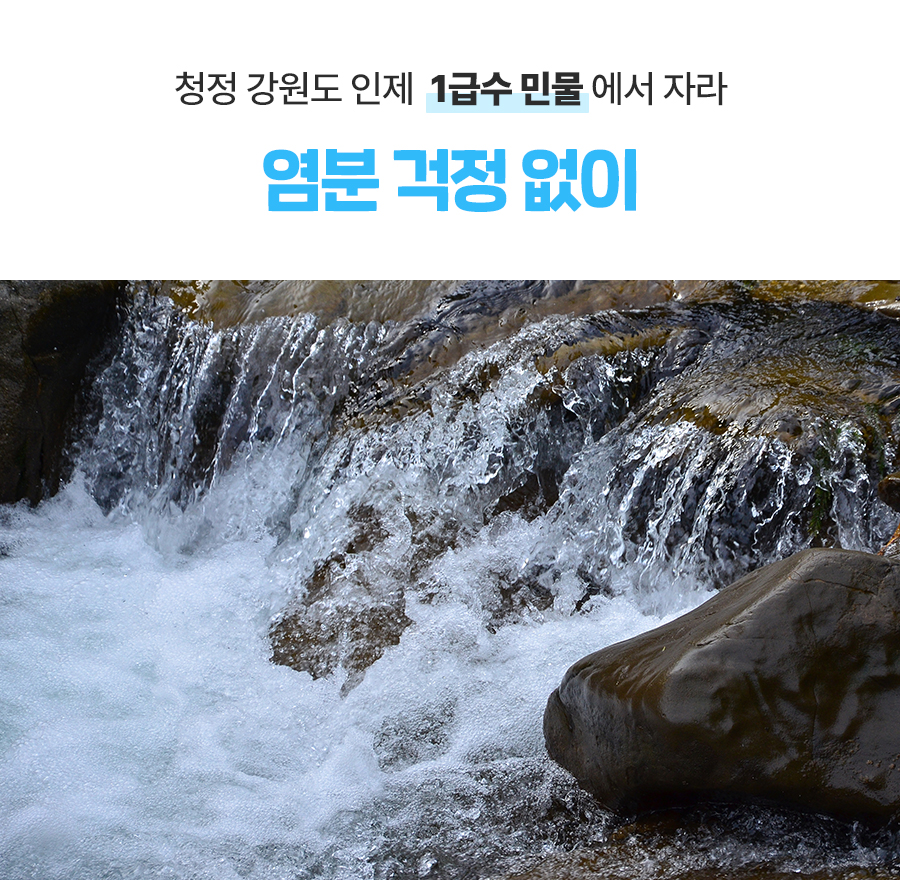 [펫트니스] 상세페이지_4.jpg