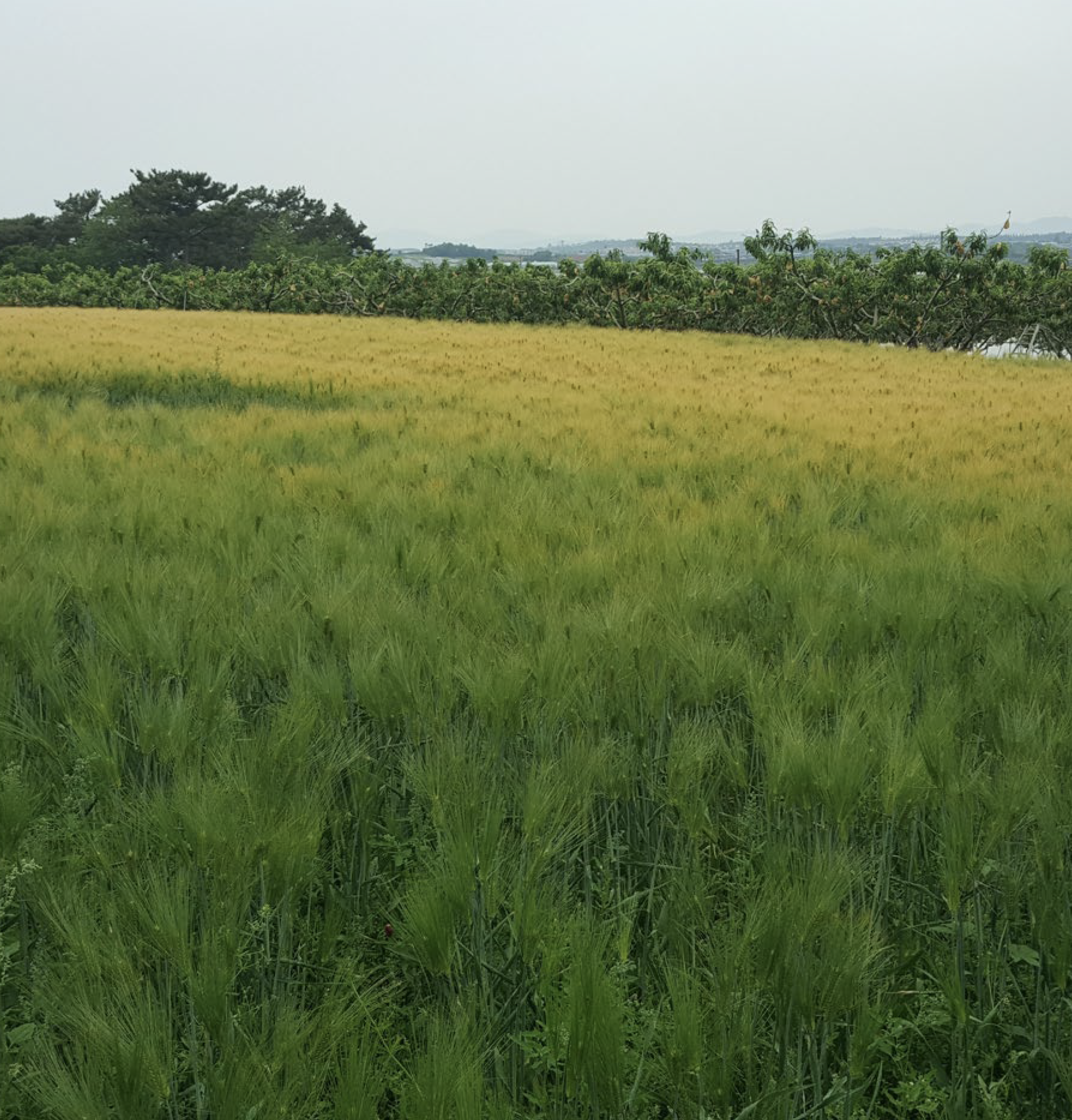 스크린샷 2023-11-07 오전 12.26.07.png