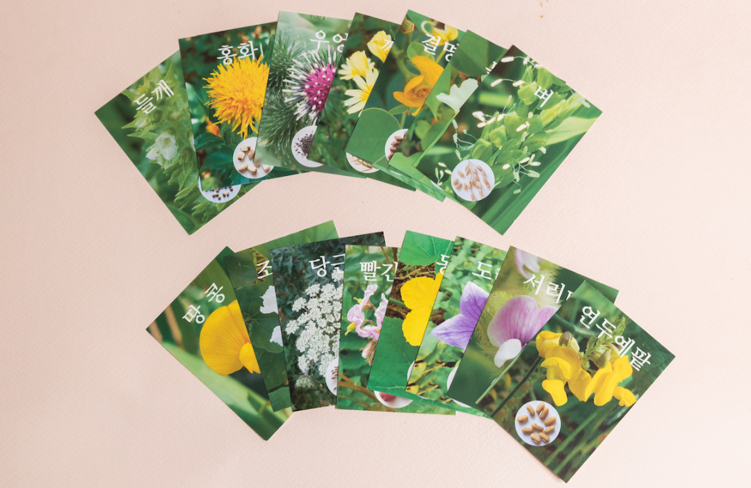 본문1 12.png