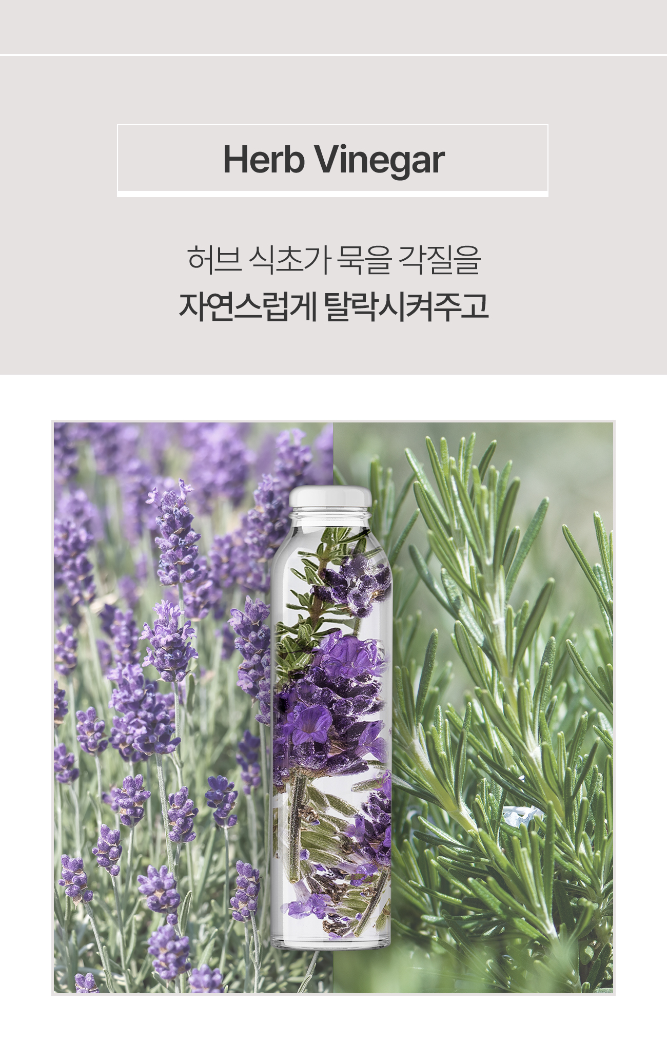 231030_초이스_02_01.jpg