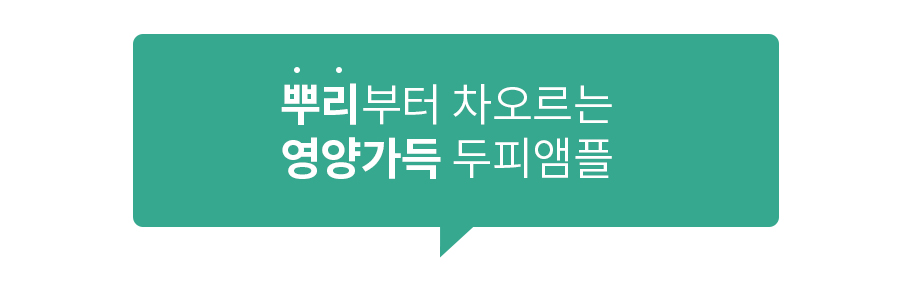 1_03.jpg
