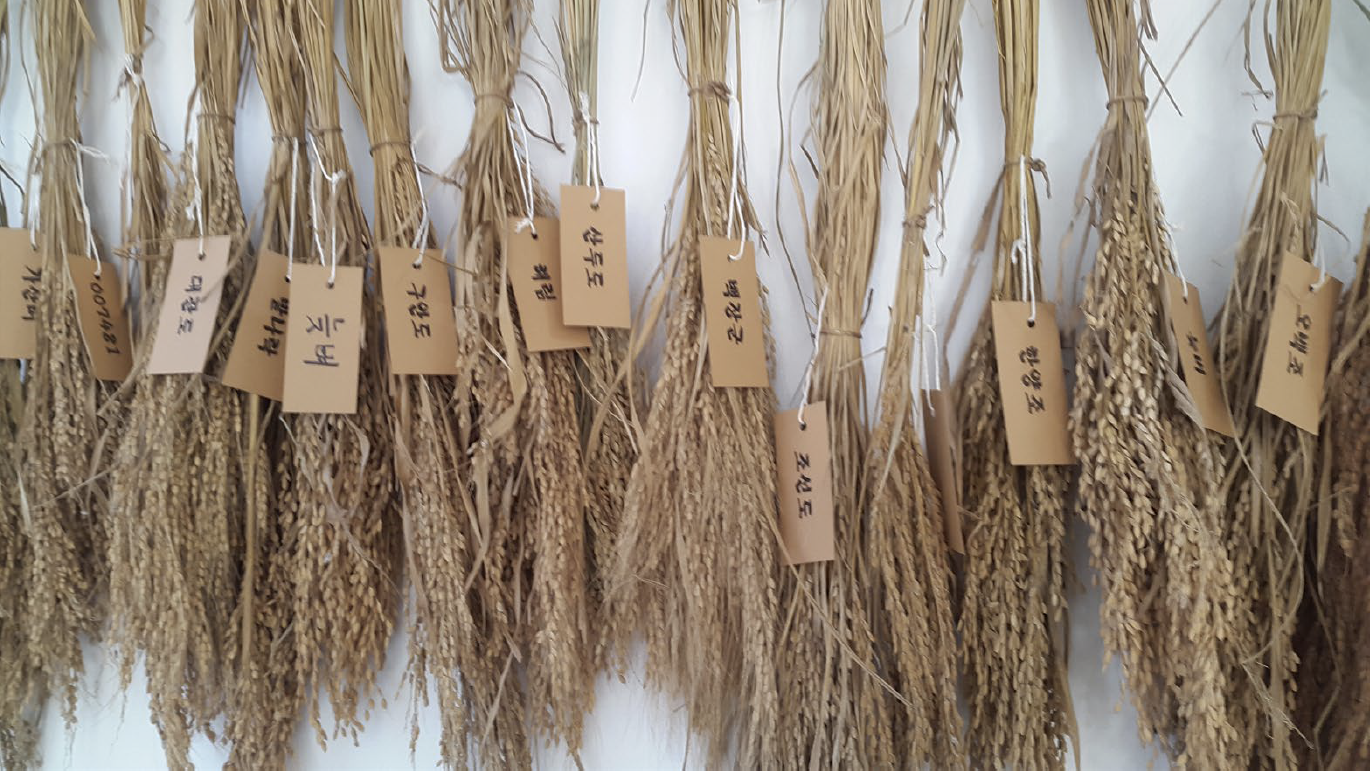 스크린샷 2023-11-13 오전 2.08.03.png