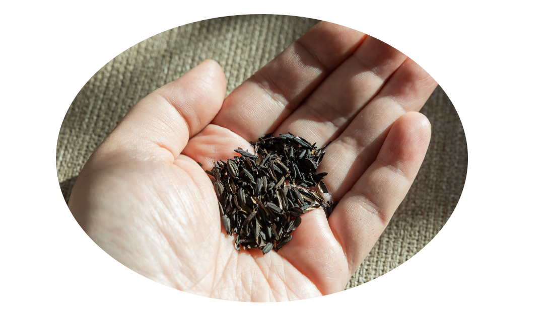 본문1 14 복사본.png