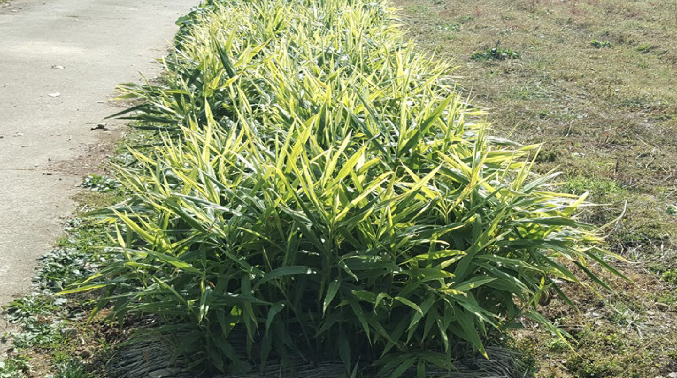 스크린샷 2023-11-13 오전 2.08.22.png