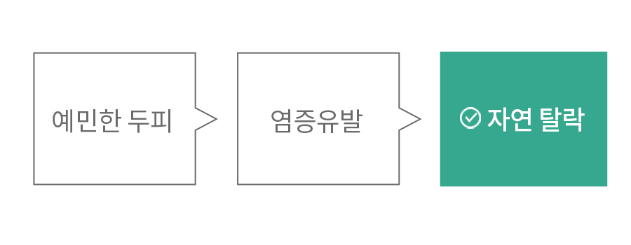 1_02.jpg