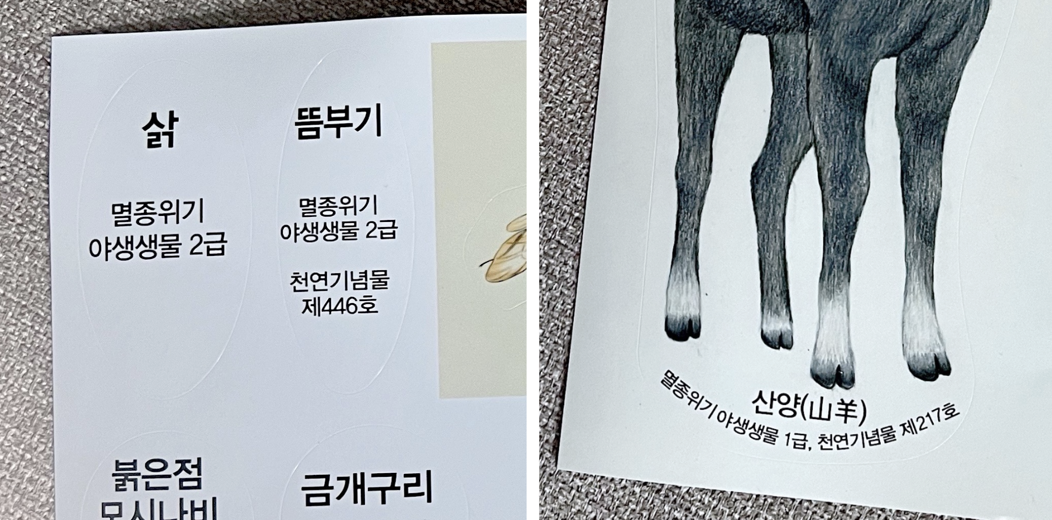 스크린샷 2023-11-14 오전 3.23.34.png