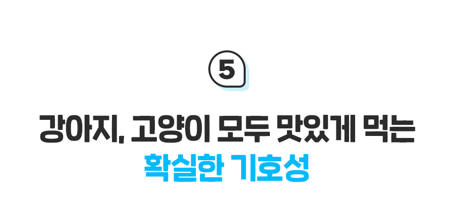 [펫트니스] 상세페이지_19.jpg