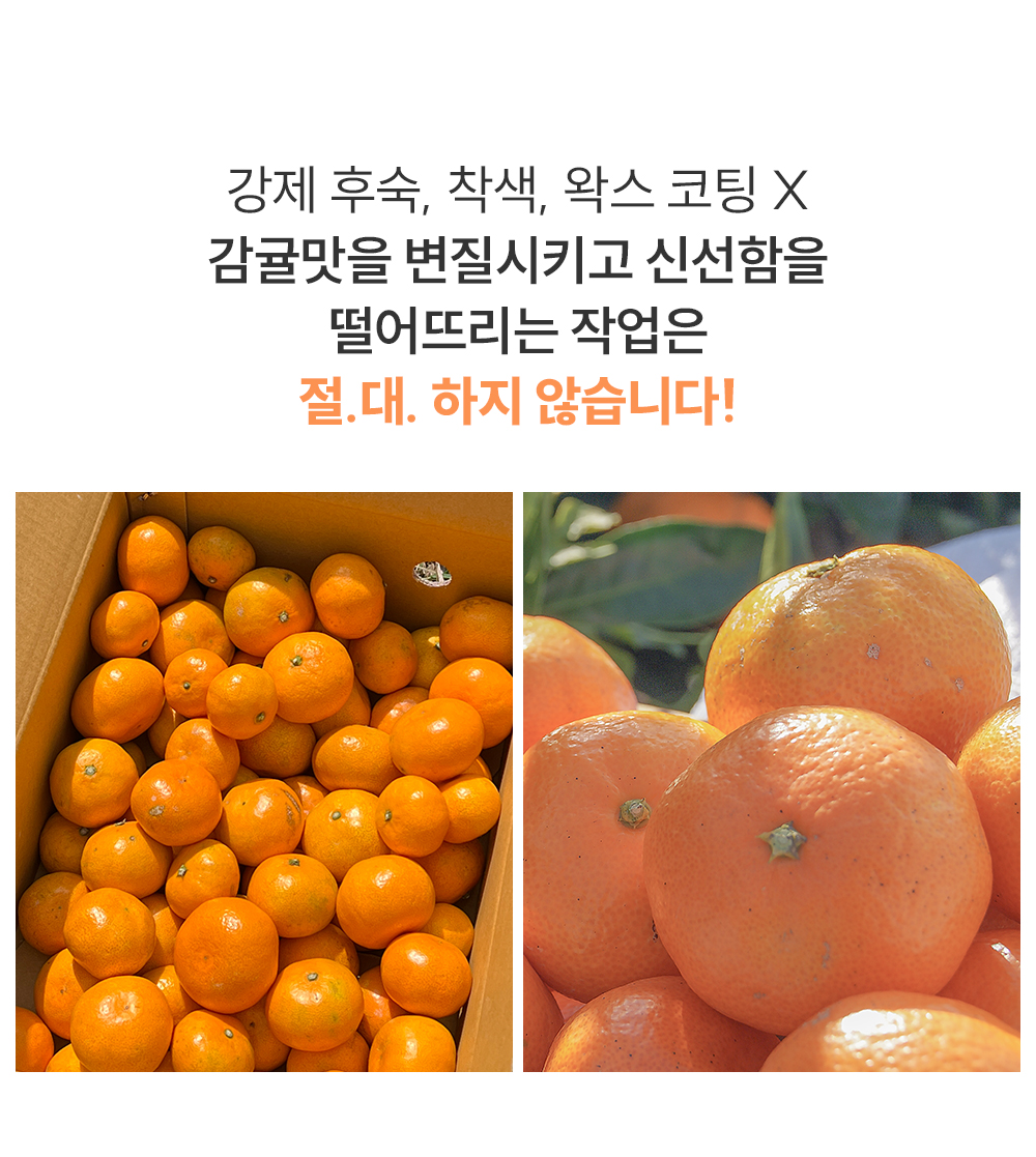 mandarin_19.jpg