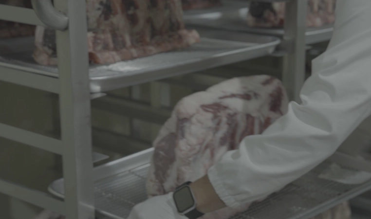 Honeycam 2023-11-14 17-59-35.webp