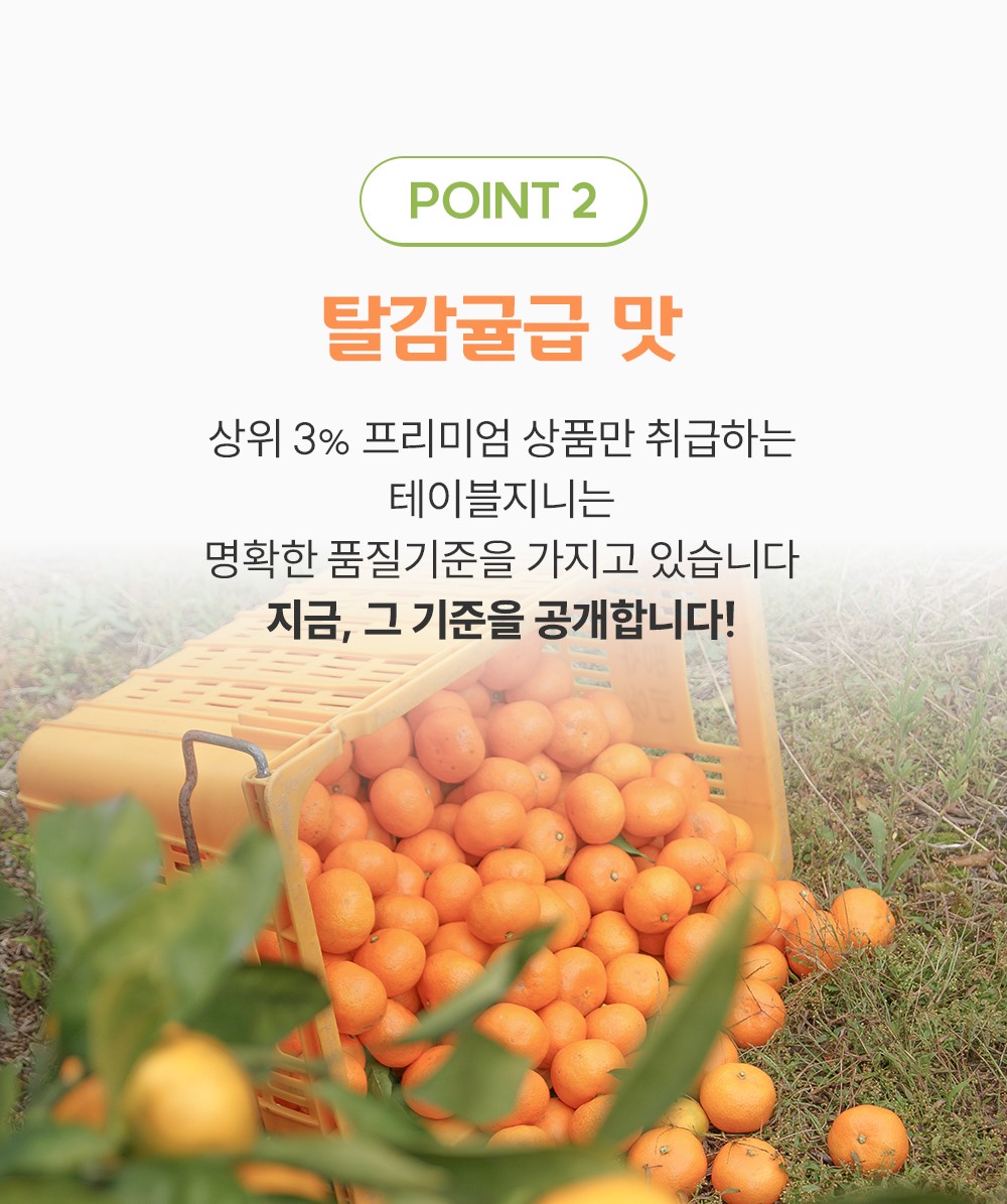 mandarin_10 - 복사본.jpg