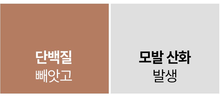 05_03.gif