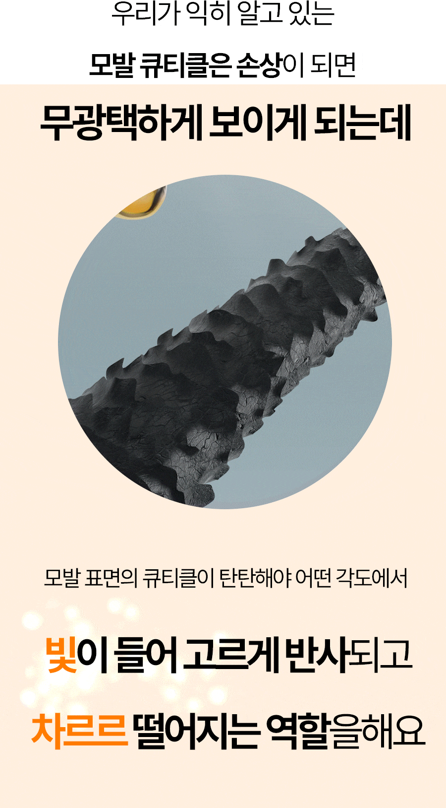 원형.gif