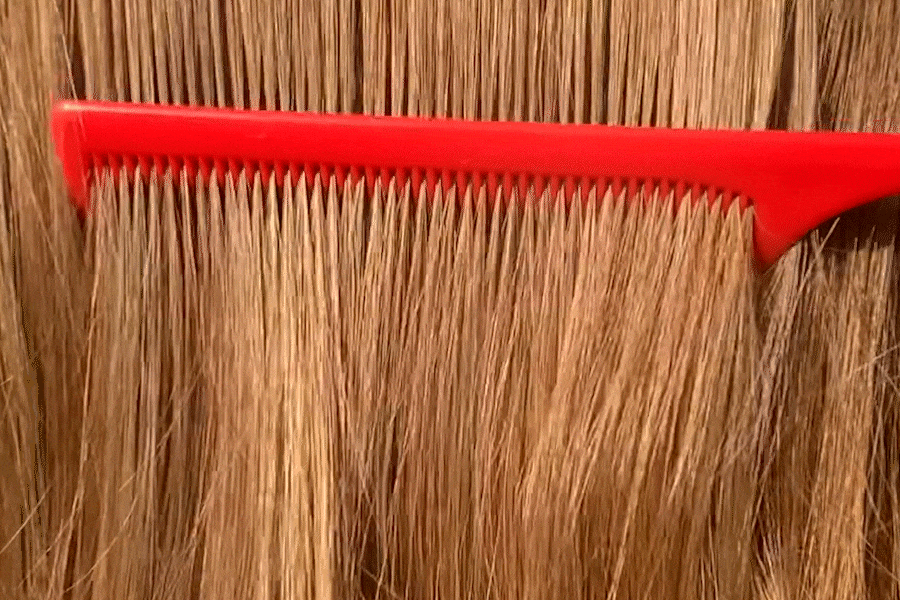 꼬리빗.gif