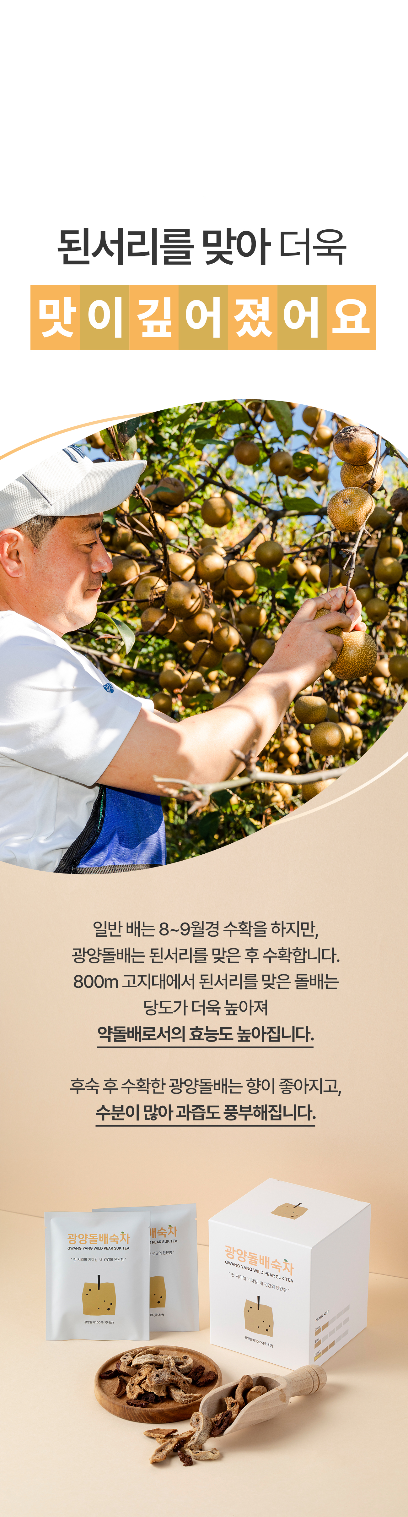 231031_돌배_02_03.jpg