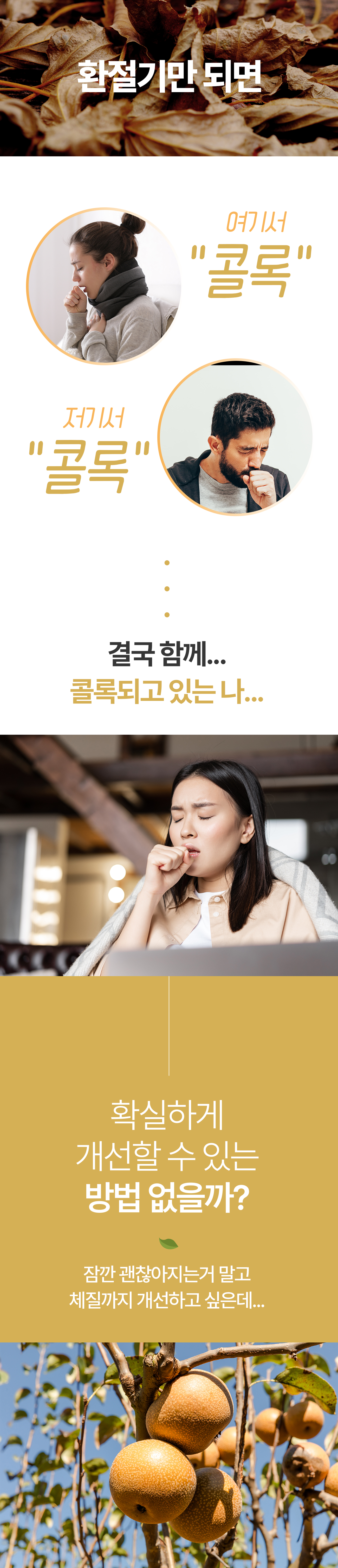 231031_돌배_01_01.jpg