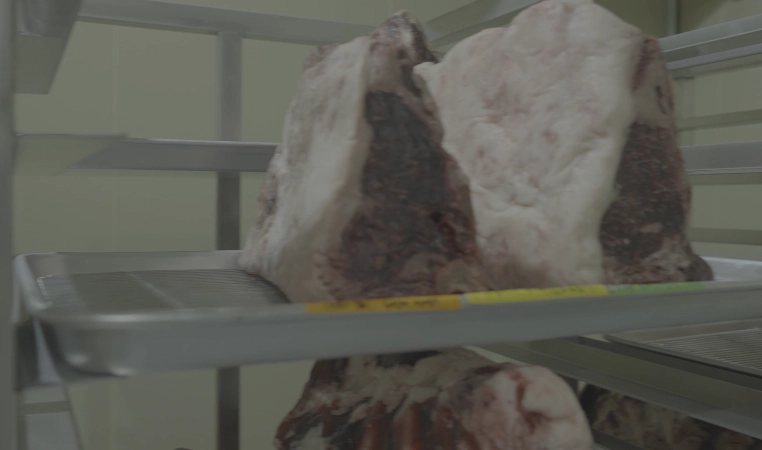 Honeycam 2023-11-14 18-01-17.webp