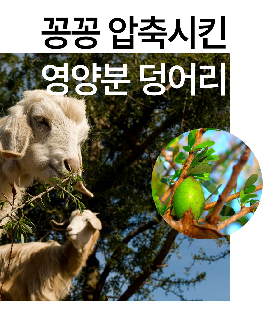 02_12.jpg