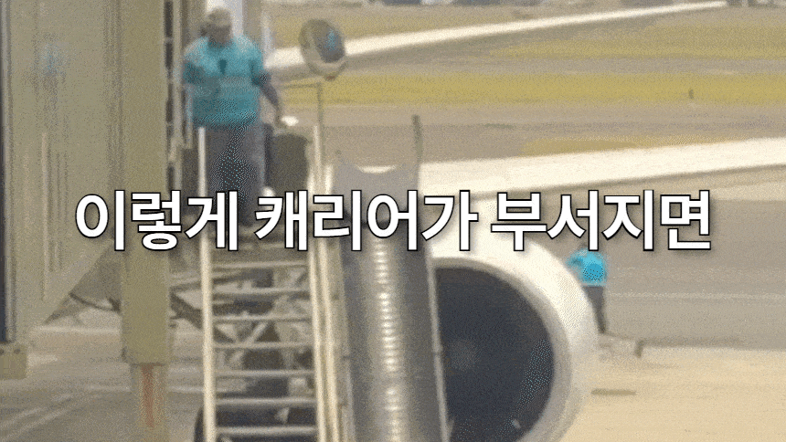 쿼디50.gif