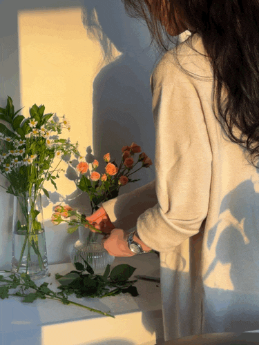 IMG_6093 2.GIF