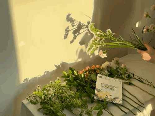 609504879.GIF