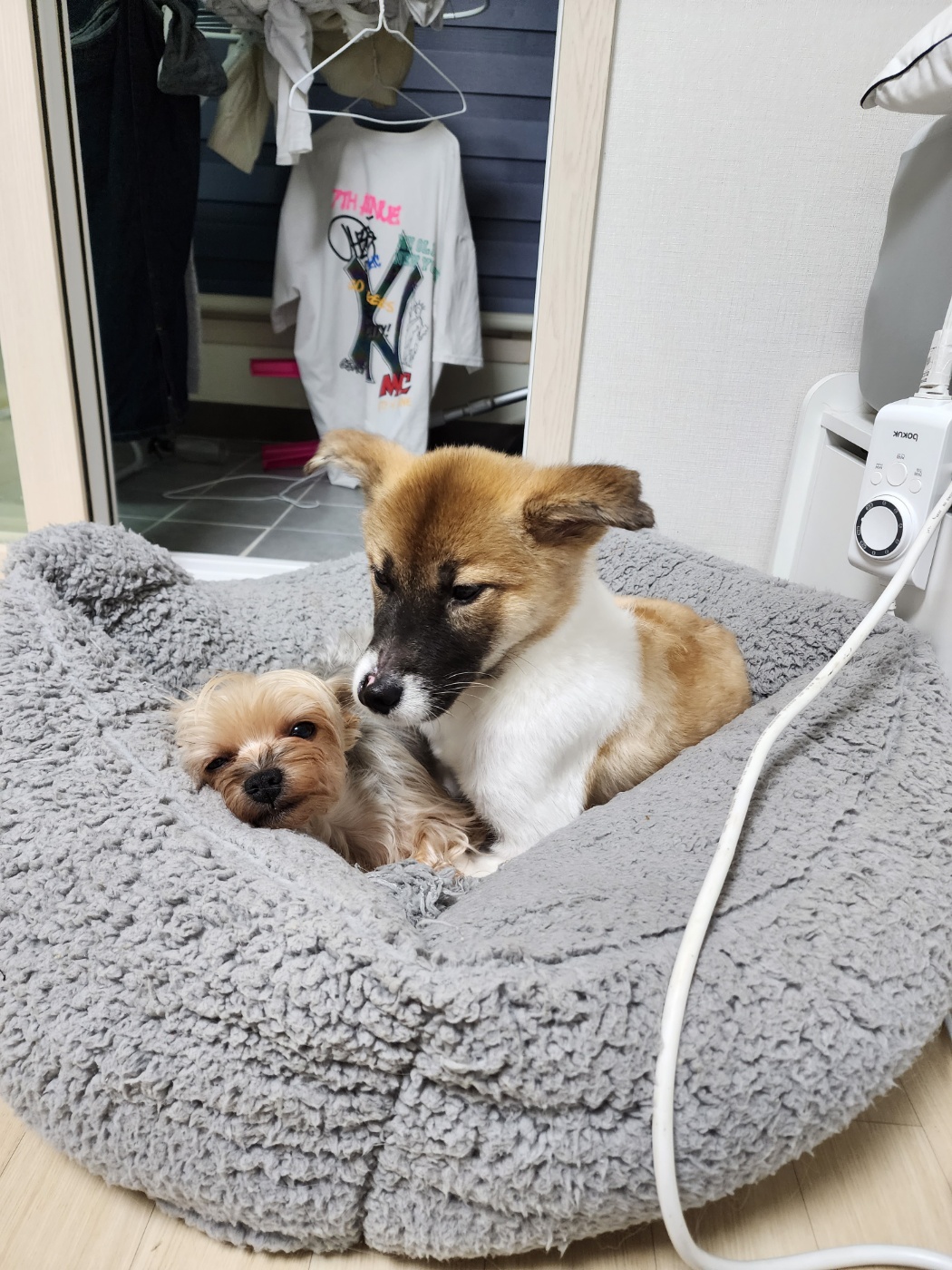 KakaoTalk_20231117_232525689.jpg