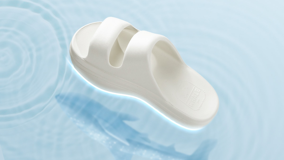 삶의 질 200% 상승! 신기만 하면 자세, 걸음, 스트레칭이 다 된다?