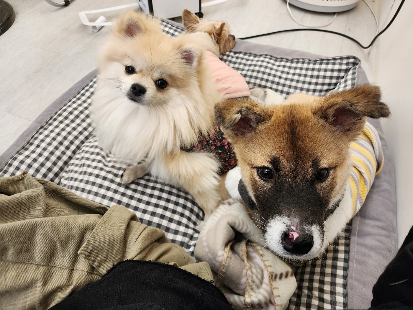 KakaoTalk_20231114_131006745.jpg