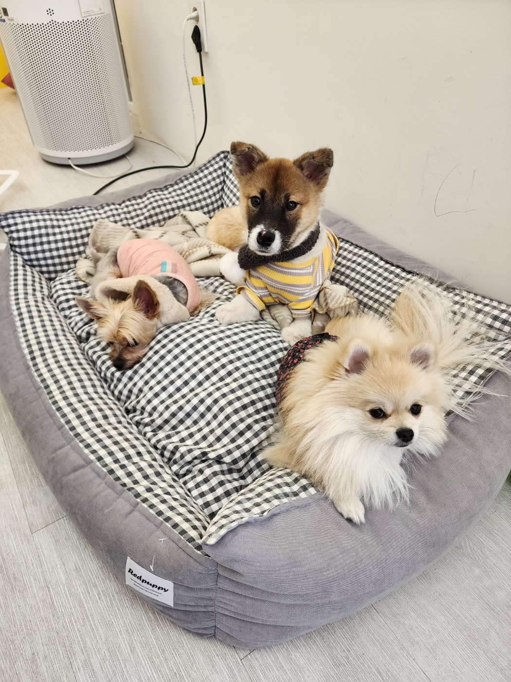 KakaoTalk_20231114_132638327.jpg