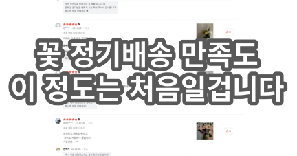 캡처.PNG