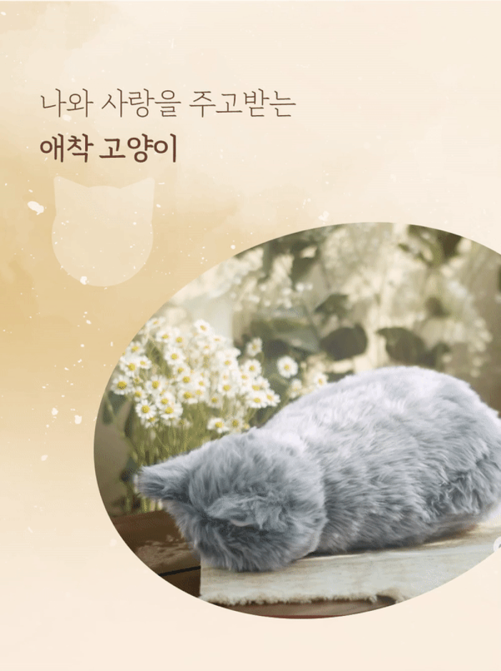 ezgif.com-resize-57.gif