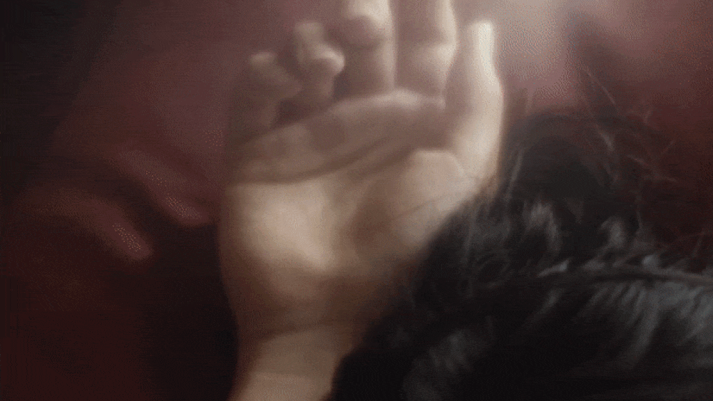 ezgif.com-optimize-17.gif