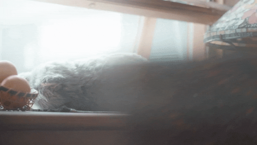 ezgif.com-optimize-18.gif