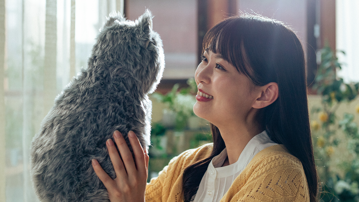 [누구에게나 힐링은 필요하다] 극강의 포근 따뜻 고양이 묘묘