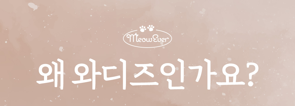 묘묘_37.jpg