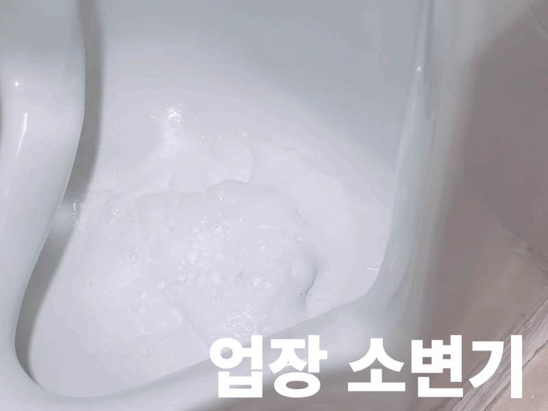 12_세스코.gif